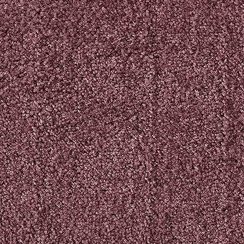 etm Robuste Schmutzfangmatte, Waschbar, Rutschfest, Hohe Reinigungswirkung für Zuhause & Gewerbe