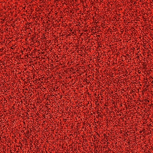 etm Robuste Schmutzfangmatte, Waschbar, Rutschfest, Hohe Reinigungswirkung für Zuhause & Gewerbe