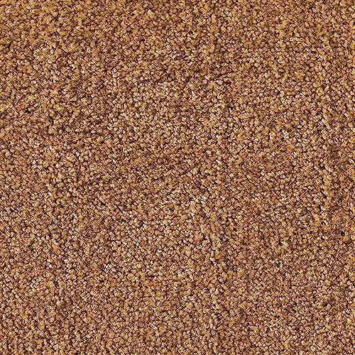 etm Robuste Schmutzfangmatte, Waschbar, Rutschfest, Hohe Reinigungswirkung für Zuhause & Gewerbe