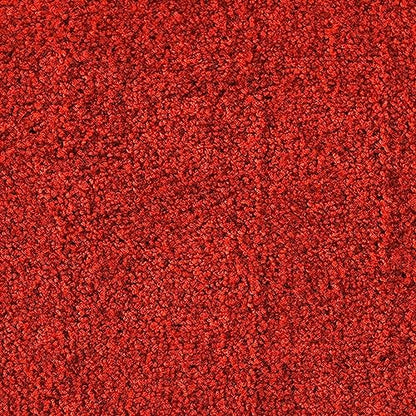 etm Robuste Schmutzfangmatte, Waschbar, Rutschfest, Hohe Reinigungswirkung für Zuhause & Gewerbe